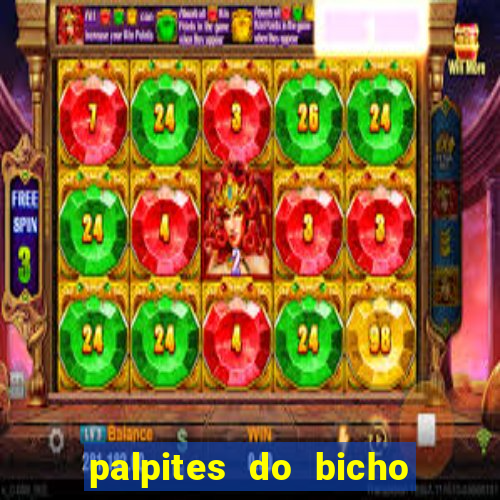 palpites do bicho no celular